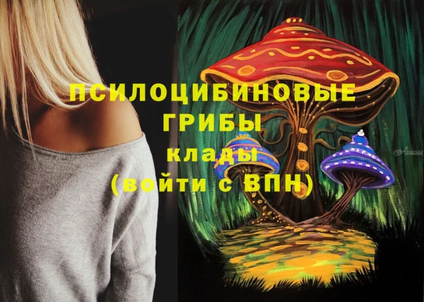 мдпв Арсеньев